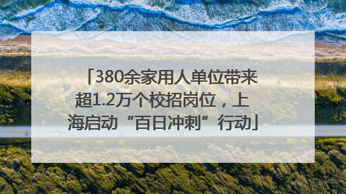 380余家用人单位带来超1.2万个校招岗位，上海启动“百日冲刺”行动