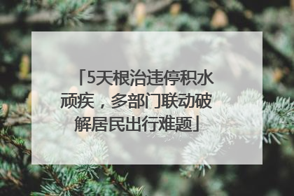 5天根治违停积水顽疾，多部门联动破解居民出行难题