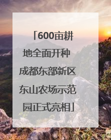 600亩耕地全面开种 成都东部新区东山农场示范园正式亮相