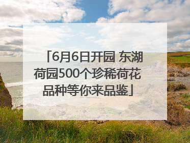 6月6日开园 东湖荷园500个珍稀荷花品种等你来品鉴