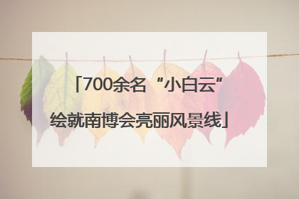 700余名“小白云”绘就南博会亮丽风景线