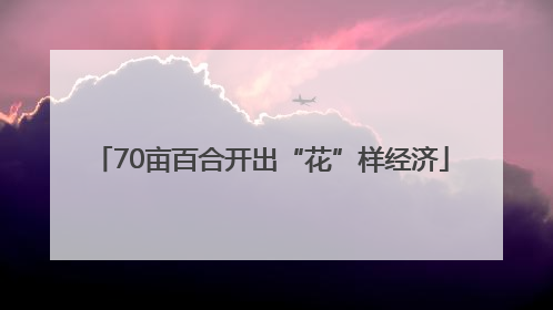70亩百合开出“花”样经济