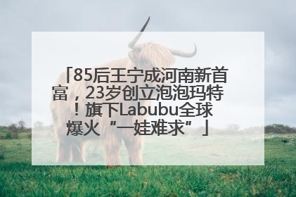 85后王宁成河南新首富，23岁创立泡泡玛特！旗下Labubu全球爆火“一娃难求”