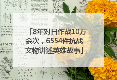 8年对日作战10万余次，6554件抗战文物讲述英雄故事