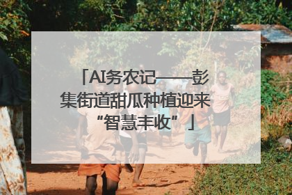 AI务农记——彭集街道甜瓜种植迎来“智慧丰收”