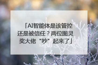 AI智能体是该管控还是被信任？两位图灵奖大佬“吵”起来了