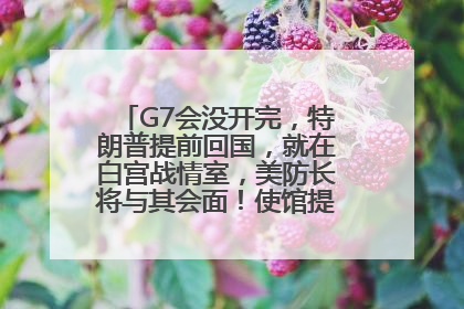 G7会没开完，特朗普提前回国，就在白宫战情室，美防长将与其会面！使馆提醒：在以中国公民尽快陆路离境！国际油价金价继续上涨