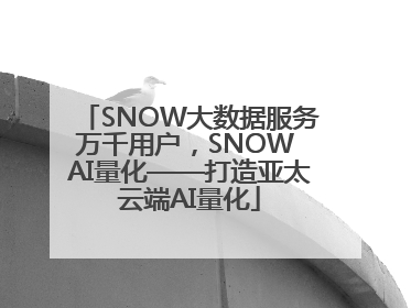 SNOW大数据服务万千用户，SNOW AI量化——打造亚太云端AI量化